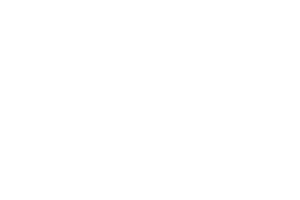 Partner Logo 3