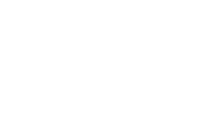 Partner Logo 4