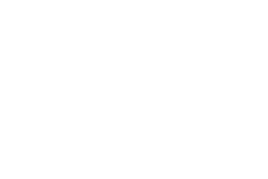 Partner Logo 8