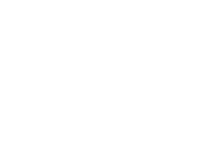 Partner Logo 9